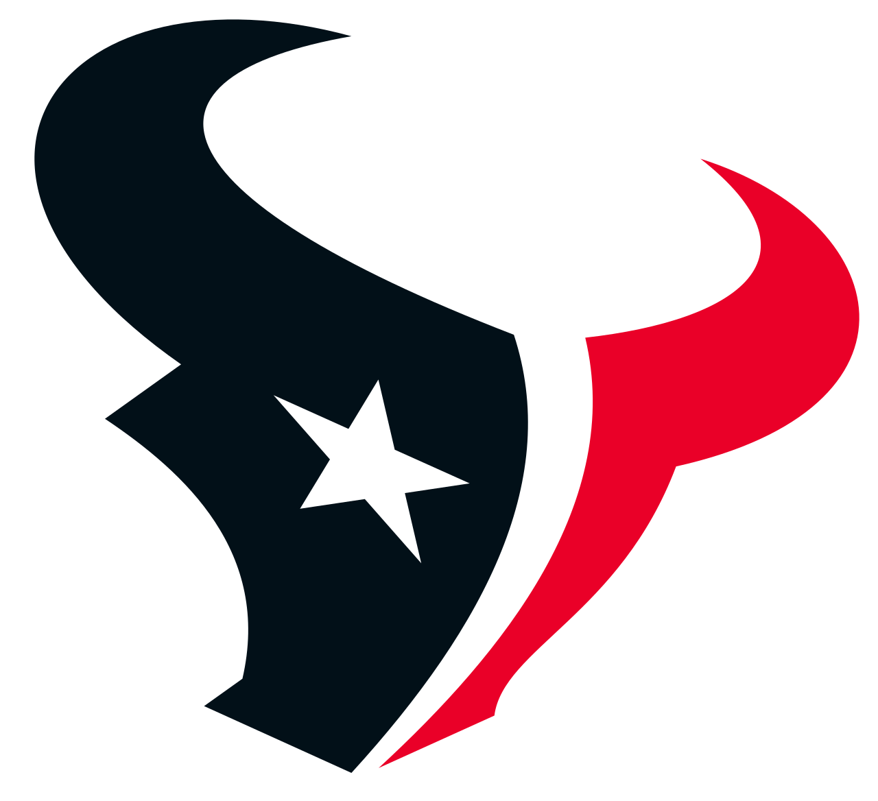 Houston Texans Logo