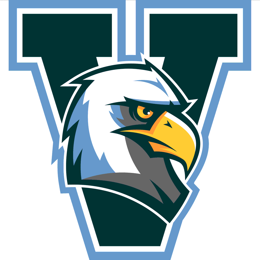 Valor Eagles Logo